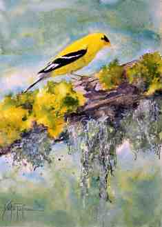 Goldfinch Bird On Mossy Branch