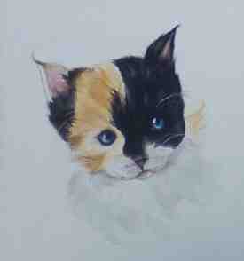 Paint this cute furry Tri-Colored Kitten: Create Highlights by Lifting and Using Negative Space.
