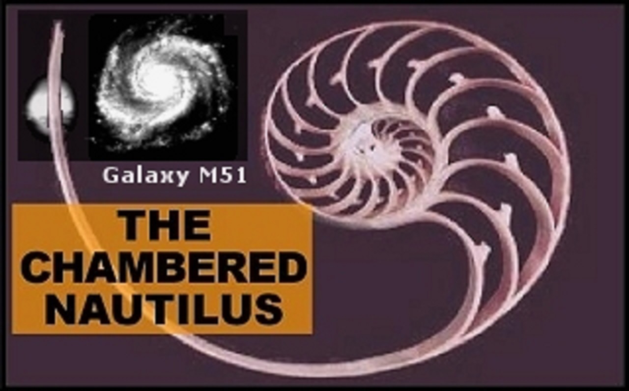 From the depths of Galaxy M51 to the Nautilus shells on the shore, matter naturally unfolds according to Phi.