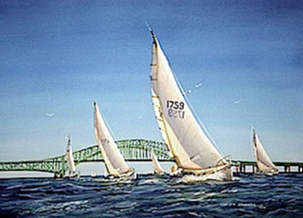 "White Sails, Blue Water" © Christy Edwards www.christyedwards.com