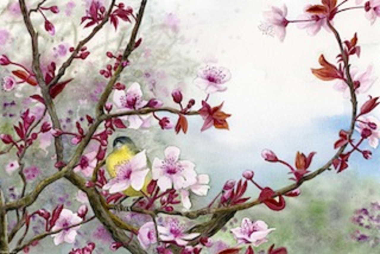 "Plum Blossoms" © Karen Wright www.fine-art.com/msrite1
