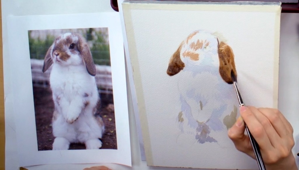 bunny-portrait-2