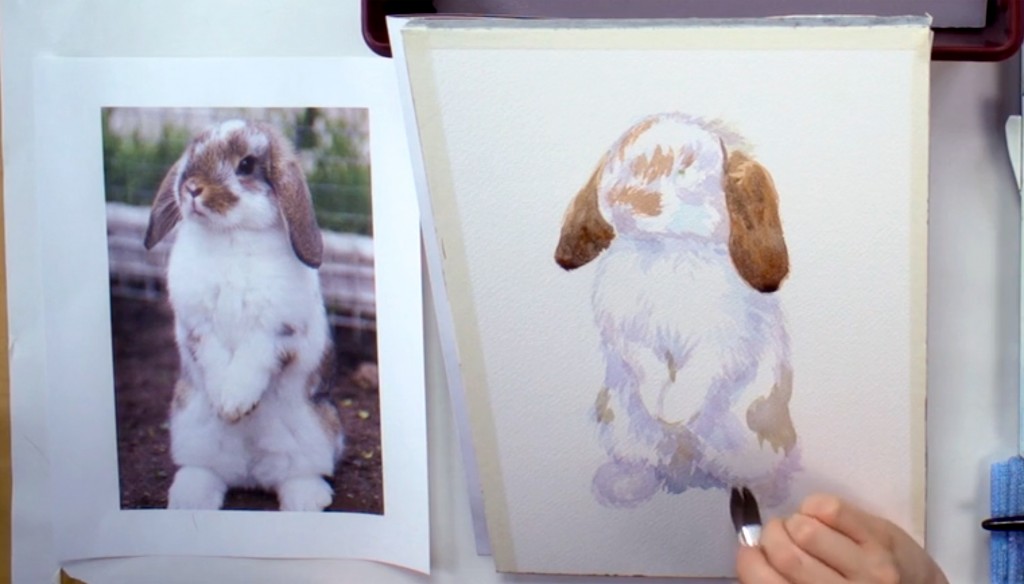 bunny-portrait-3