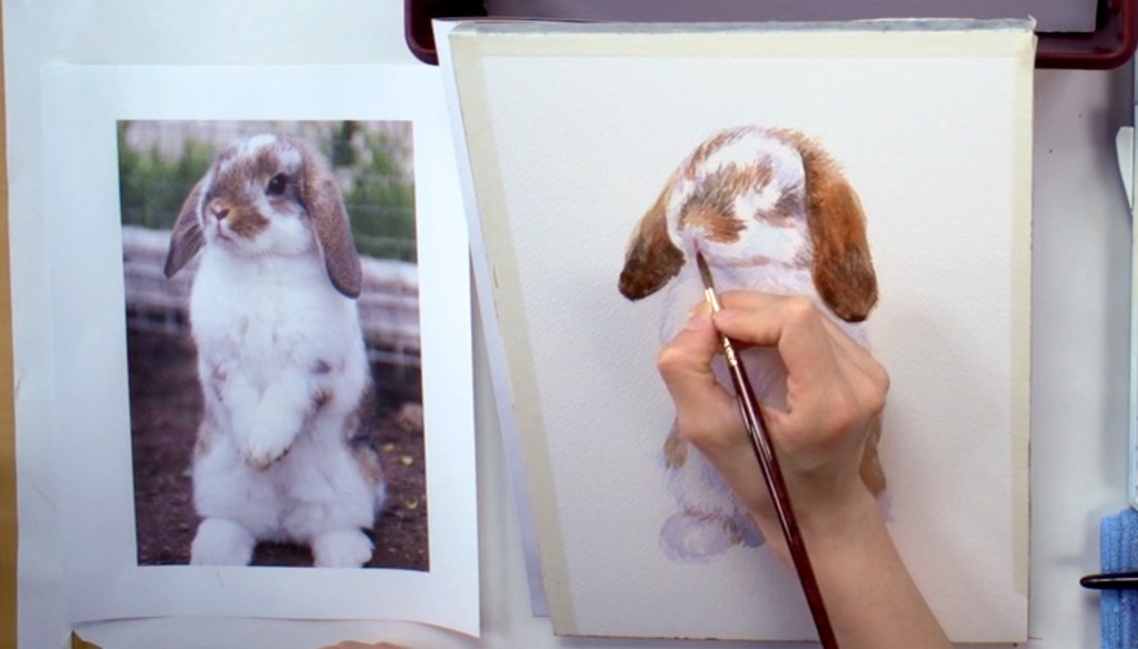 bunny-portrait-4