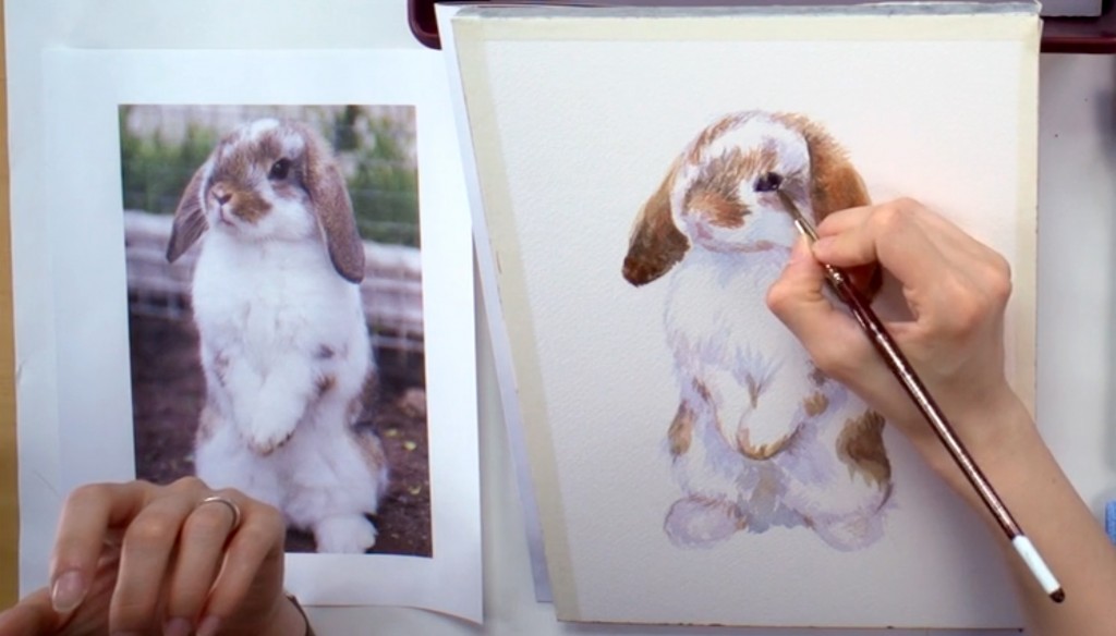 bunny-portrait-5