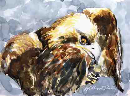 How To Paint A Dramatic Bald Eagle Portrait With Feathers