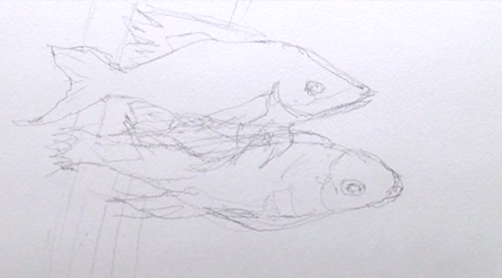 wet-on-wet-exotic-fish-sketch