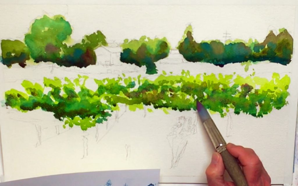 easy-watercolor-landscape-vineyard-step-3