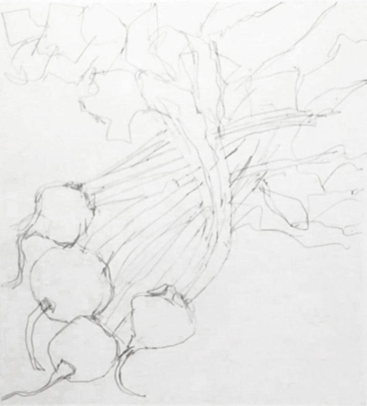 watercolor-still-life-beets-sketch