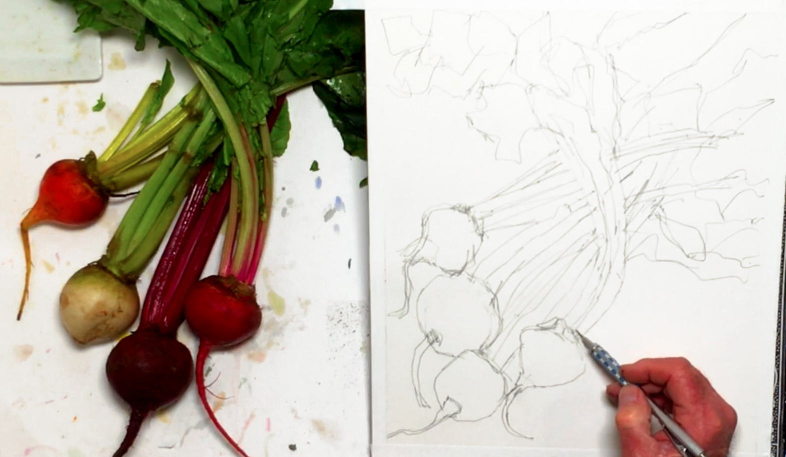 watercolor-still-life-beets-step-2