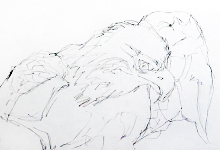 bald-eagle-portrait-painting-sketch