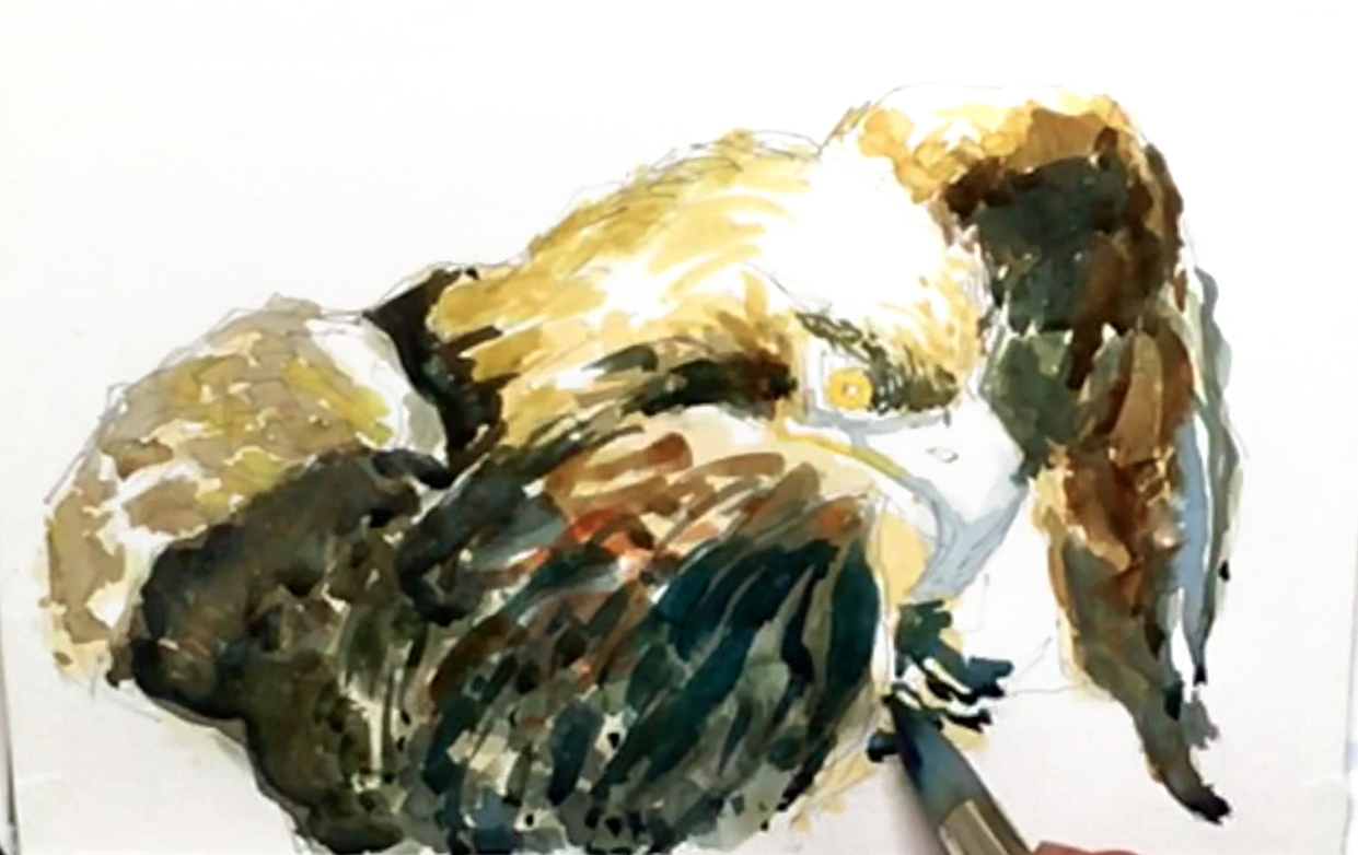 bald-eagle-portrait-painting-step-6