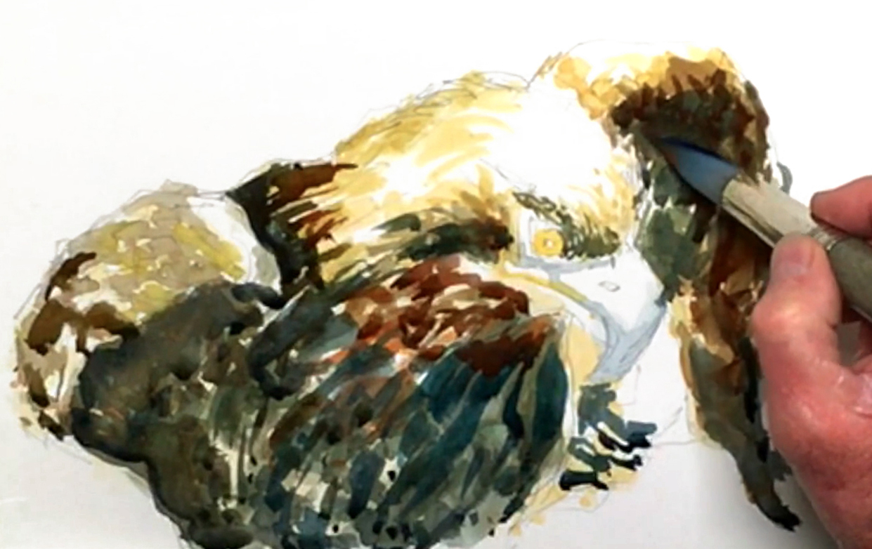 bald-eagle-portrait-painting-step-7