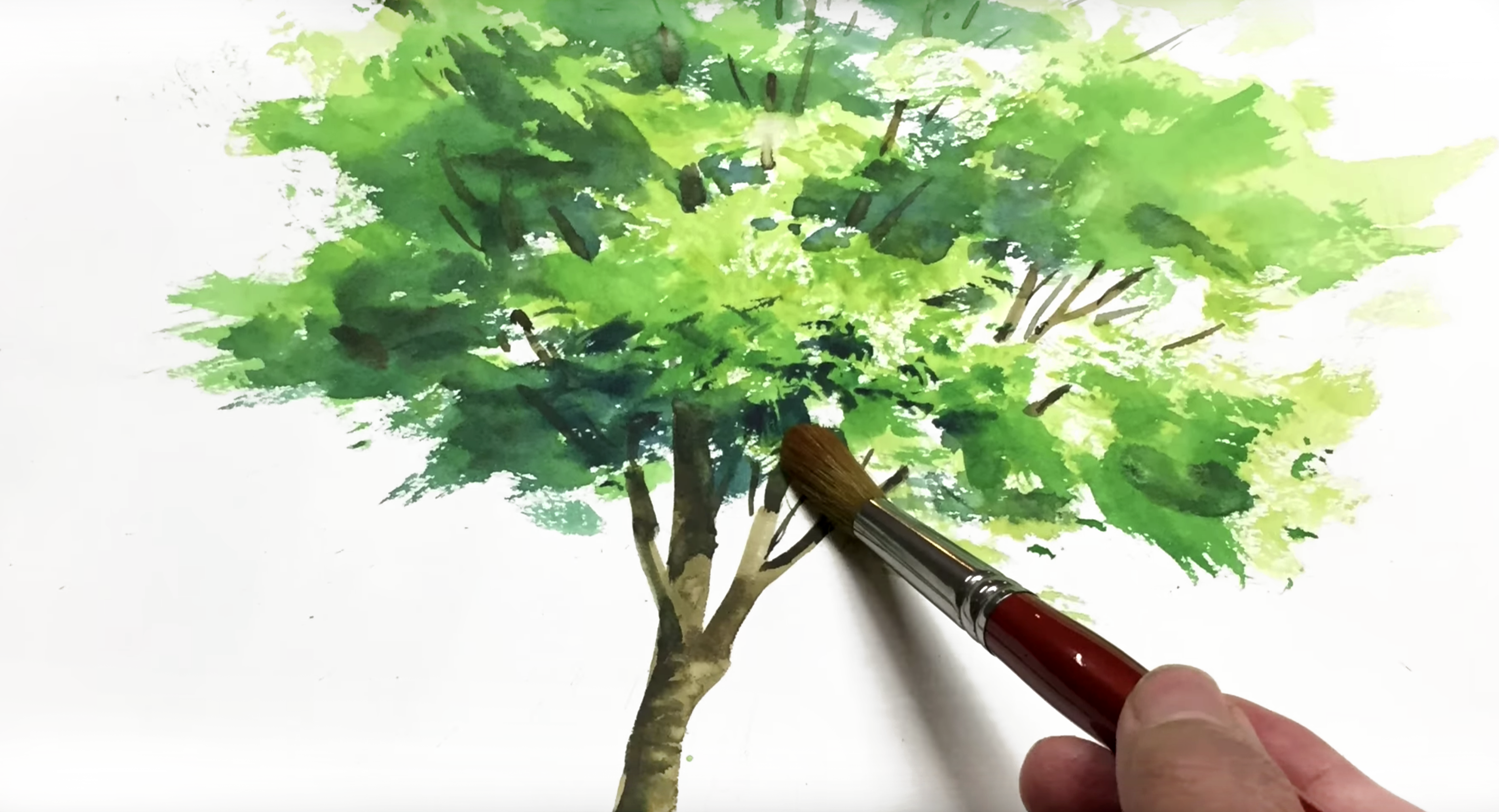 What Is Watercolor Paint? - Here's What You Should Know - Beebly's