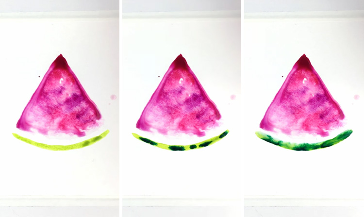 watermelon-watercolor-painting-step-2