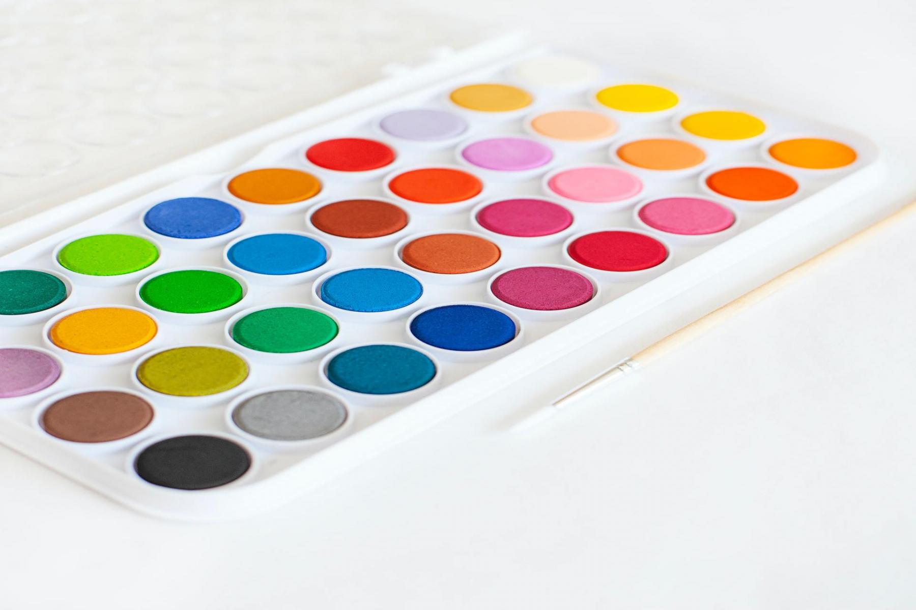 How To Set Up a Watercolor Palette Like A Pro? - Beebly's Watercolor  Painting