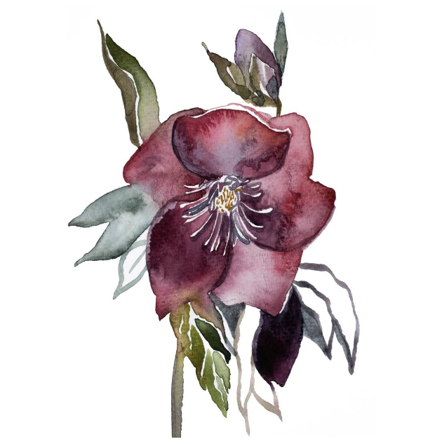 image119