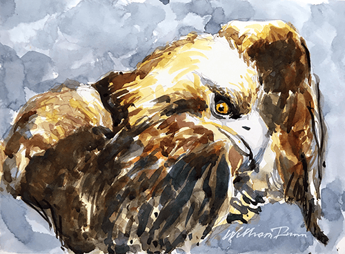 Finished Eagle-copy-1 Watercolor Tutorial