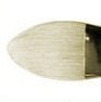 brushfilbert