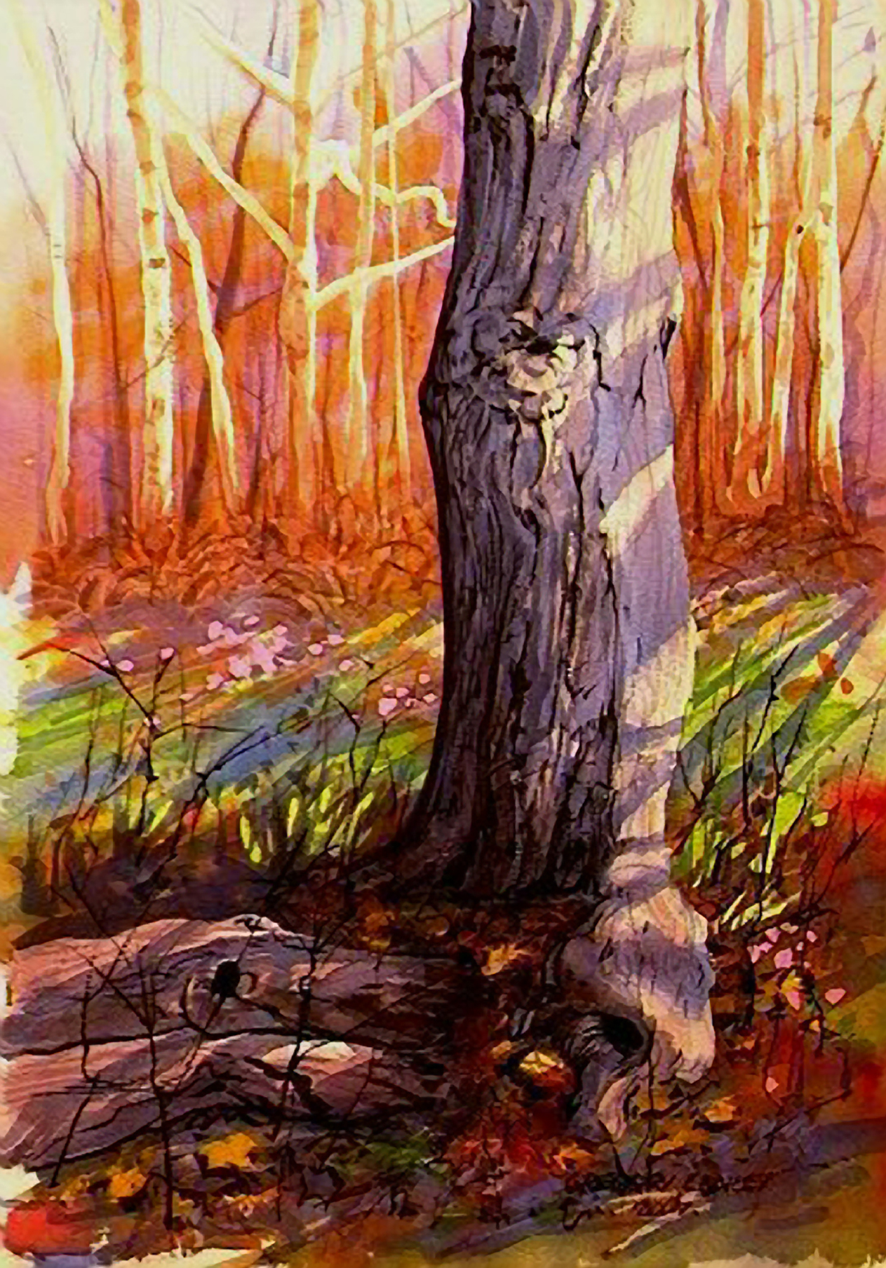 friskettree11