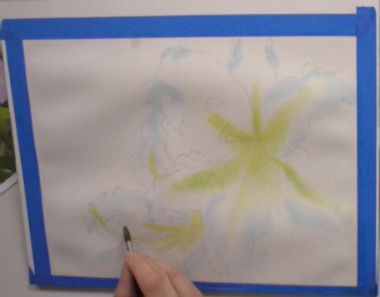 lilyflower2