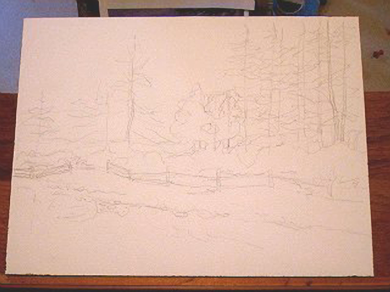 lineofpines1