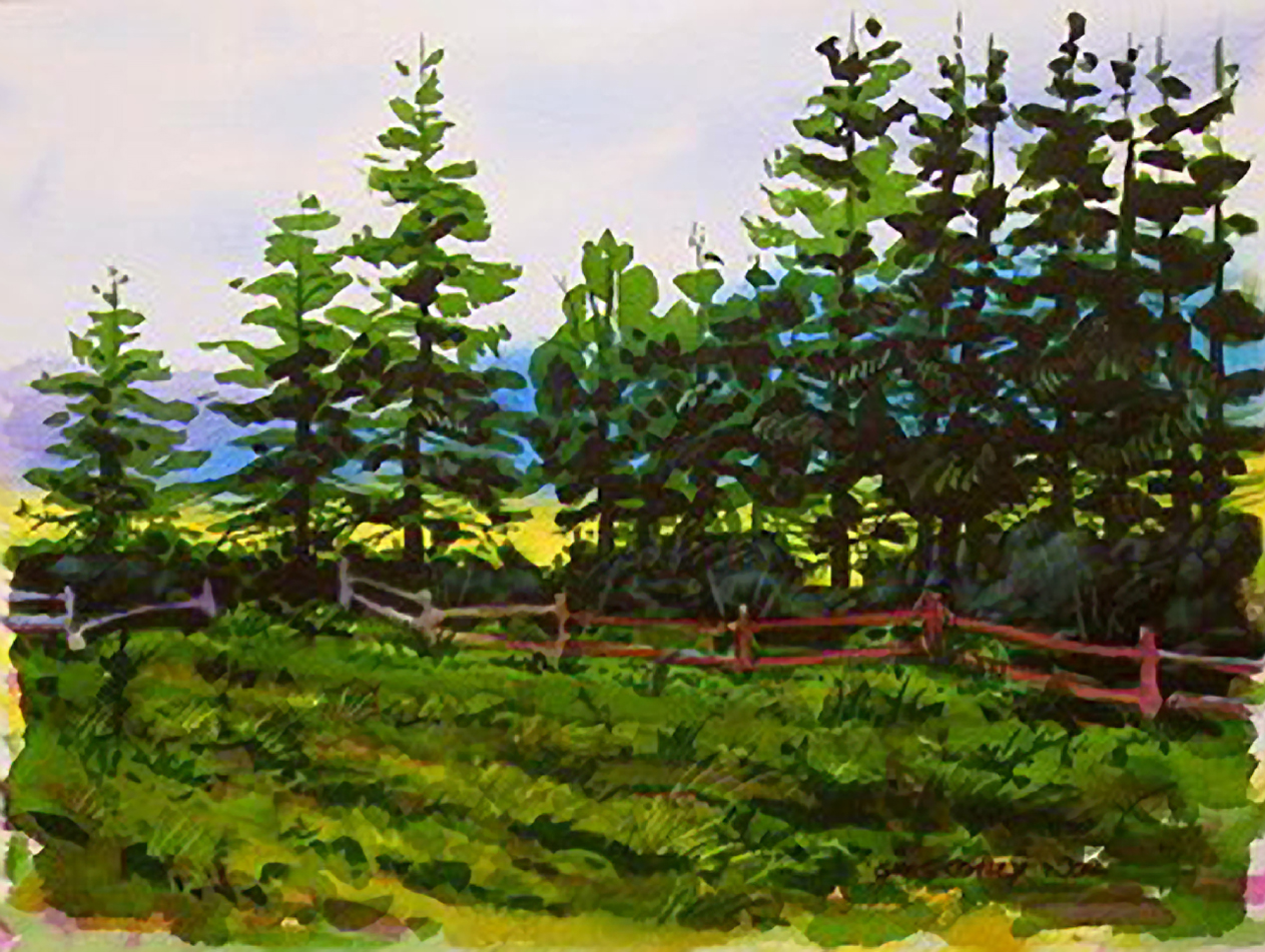 lineofpines12