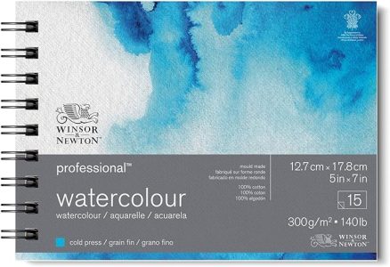 Winsor Newton Paper